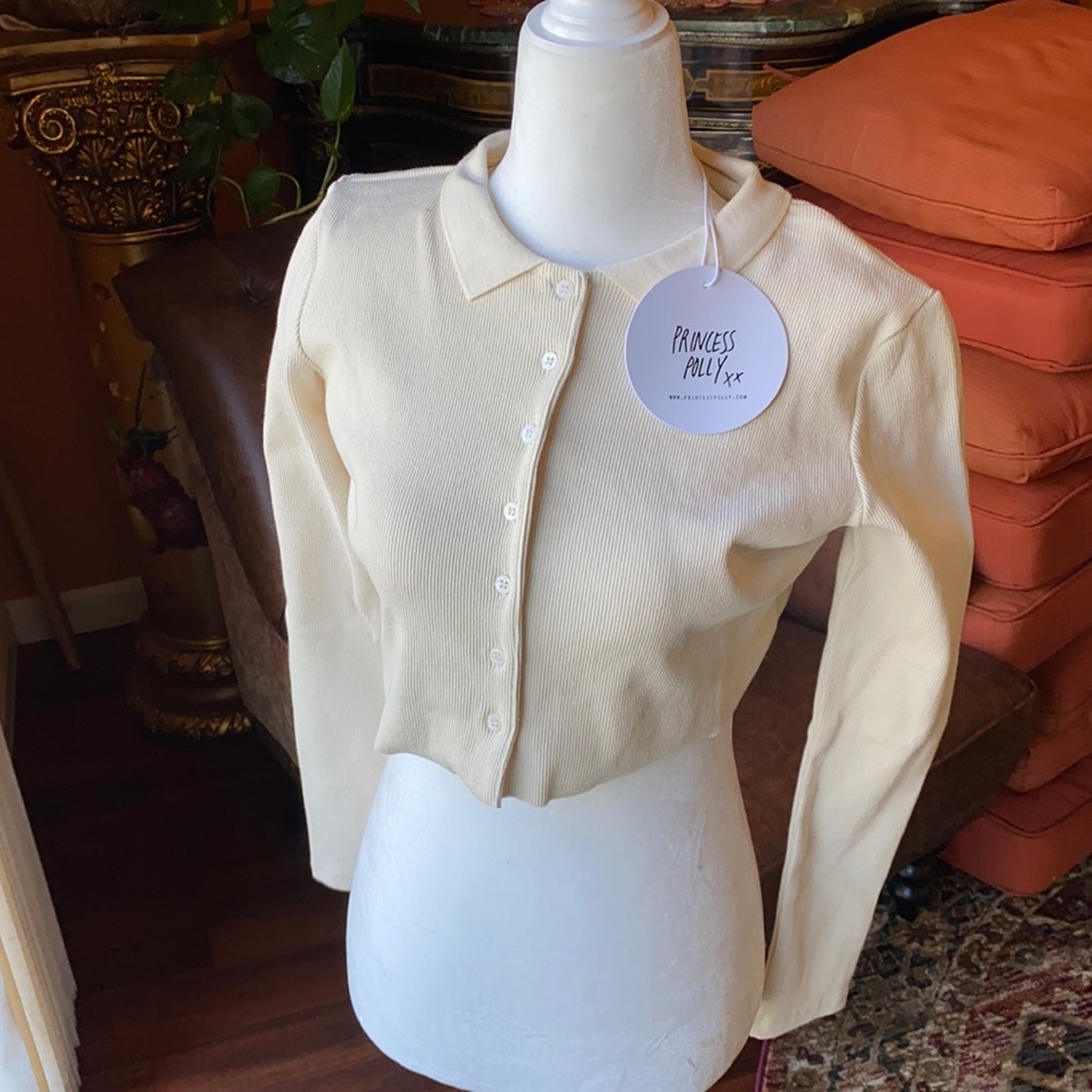 A BRAND NEW princess Polly downtown